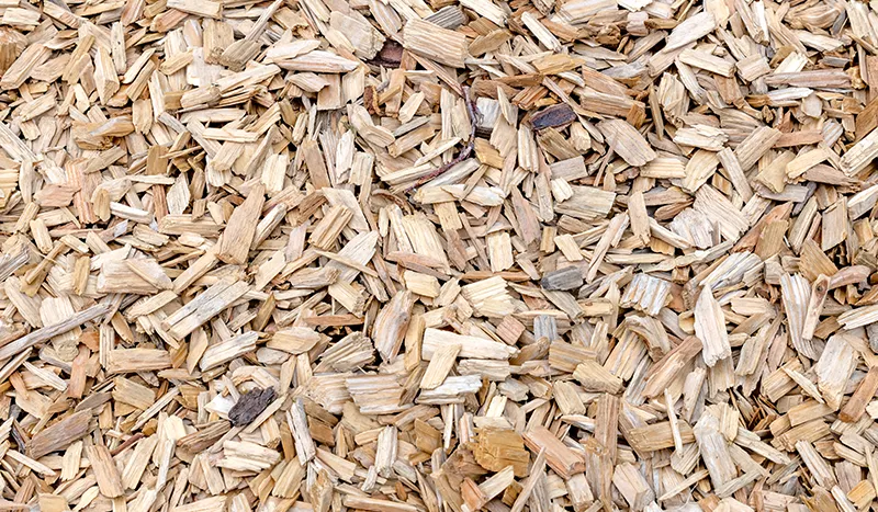 the-hidden-power-of-industrial-wood-chips-for-biomass-energy-69783a6fcfbd8