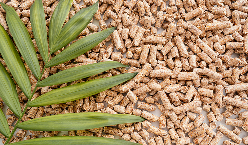 Distributor wood pellet Indonesia