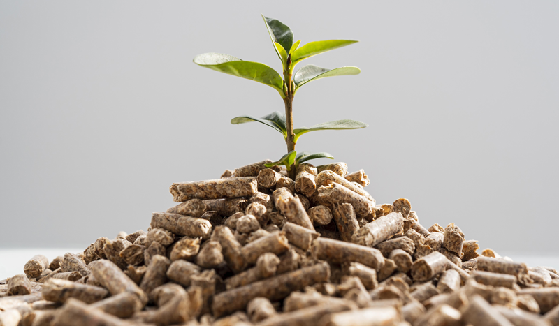 Produsen Wood Pellet Indonesia