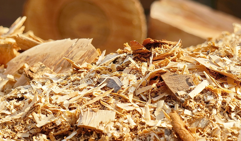 supplier wood chips Indonesia