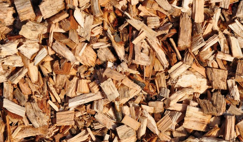 wood chips Indonesia