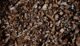 Pabrik Wood Chips Indonesia Kualitas Ekspor