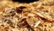 Penyedia Wood Chips Indonesia