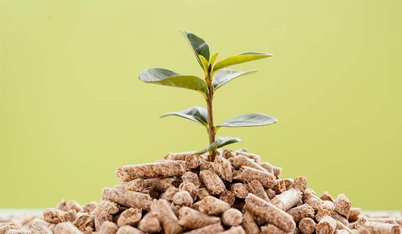 Supplier Wood Pellet Indonesia dengan Kualitas Premium