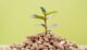 Supplier Wood Pellet Indonesia dengan Kualitas Premium