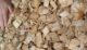 Wood Chips Indonesia Siap Ekspor